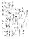 Fig. 15 - GLYCOPEGYLATION METHODS AND PROTEINS/PEPTIDES PRODUCED BY THE METHODS