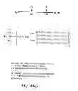 Fig. 197 - GLYCOPEGYLATION METHODS AND PROTEINS/PEPTIDES PRODUCED BY THE METHODS