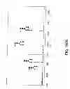 Fig. 362 - GLYCOPEGYLATION METHODS AND PROTEINS/PEPTIDES PRODUCED BY THE METHODS