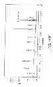 Fig. 366 - GLYCOPEGYLATION METHODS AND PROTEINS/PEPTIDES PRODUCED BY THE METHODS