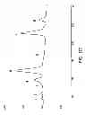 Fig. 481 - GLYCOPEGYLATION METHODS AND PROTEINS/PEPTIDES PRODUCED BY THE METHODS