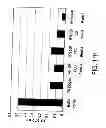 Fig. 482 - GLYCOPEGYLATION METHODS AND PROTEINS/PEPTIDES PRODUCED BY THE METHODS