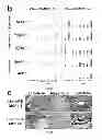 Fig. 06 - Compounds and compositions used to epigenetically transform cells and methods related thereto