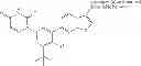 Fig. 28 - Anti-infective agents and uses thereof