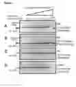 Fig. 02 - MODIFIED CASCADE RIBONUCLEOPROTEINS AND USES THEREOF