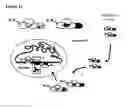 Fig. 23 - MODIFIED CASCADE RIBONUCLEOPROTEINS AND USES THEREOF