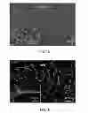 Fig. 03 - Compositions and methods for induction and modulation of angiogenesis and methods and assays for identifying angiogenesis modulators