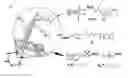 Fig. 01 - Reprogramming of cellular adhesion