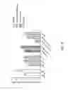 Fig. 09 - Reprogramming of cellular adhesion