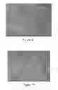 Fig. 03 - Implantable scaffolds and methods of use