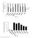 Fig. 12 - Dosage compensating transgenes and cells
