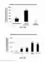 Fig. 19 - Dosage compensating transgenes and cells