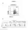 Fig. 02 - T-REG Cell Expansion