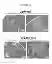 Fig. 19 - T-REG Cell Expansion