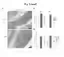 Fig. 08 - GPR15-mediated homing and uses thereof