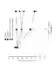 Fig. 09 - Methods of treating antinociceptive tolerance