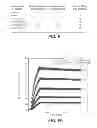 Fig. 08 - IMMUNOGLOBULIN VARIANTS AND USES THEREOF