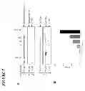 Fig. 08 - TNF Binding Proteins