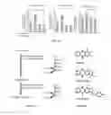 Fig. 13 - PGAM1 inhibitors and methods related thereto