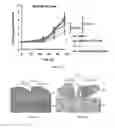 Fig. 30 - PGAM1 inhibitors and methods related thereto