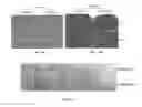 Fig. 31 - PGAM1 inhibitors and methods related thereto
