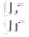 Fig. 08 - CANINE/FELINE CD20 BINDING EPITOPE AND COMPOSITIONS FOR BINDING THERETO