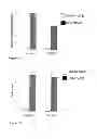 Fig. 09 - CANINE/FELINE CD20 BINDING EPITOPE AND COMPOSITIONS FOR BINDING THERETO