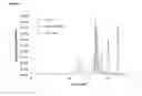Fig. 07 - Fully human antibodies that bind to VEGFR2 and methods of use thereof