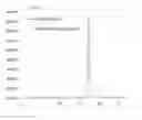 Fig. 08 - Fully human antibodies that bind to VEGFR2 and methods of use thereof