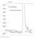 Fig. 09 - Fully human antibodies that bind to VEGFR2 and methods of use thereof