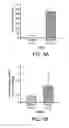 Fig. 07 - Diagnosis and treatment of chronic obstructive pulmonary disease (COPD)