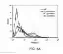Fig. 08 - Diagnosis and treatment of chronic obstructive pulmonary disease (COPD)