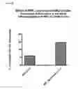 Fig. 06 - COMPOSITIONS AND USES