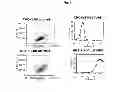 Fig. 09 - Antagonistic DR3 ligands