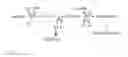 Fig. 02 - TARGET DIRECTED TO ADIPOCYTES, METHODS AND ASSAYS FOR TREATMENT OF OBESITY