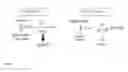 Fig. 09 - TARGET DIRECTED TO ADIPOCYTES, METHODS AND ASSAYS FOR TREATMENT OF OBESITY