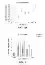 Fig. 06 - Methods of increasing satellite cell proliferation