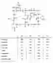 Fig. 01 - AMATOXIN-CONJUGATES WITH IMPROVED LINKAGES