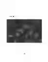 Fig. 09 - Compositions and methods for detecting, treating, and protecting against fusobacterium infection