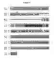 Fig. 06 - HETEROLOGOUS EXPRESSION OF NEISSERIAL PROTEINS