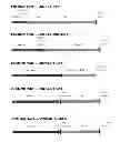 Fig. 12 - HETEROLOGOUS EXPRESSION OF NEISSERIAL PROTEINS