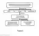Fig. 03 - Microorganisms for therapy