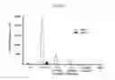 Fig. 08 - TRANSCUTANEOUS DELIVERY OF THERAPEUTIC AGENTS