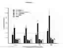Fig. 09 - TRANSCUTANEOUS DELIVERY OF THERAPEUTIC AGENTS