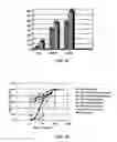 Fig. 07 - Expression of Protective Antigens in Transgenic Chloroplasts and the Production of Improved Vaccines