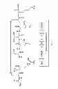Fig. 02 - NOVEL A4B7 PEPTIDE ANTAGONISTS