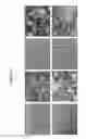 Fig. 06 - SUPPORTING MATERIAL FOR CELL SHEET