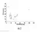 Fig. 06 - NANOCOMPOSITES OF GOLD AND POLYMERS