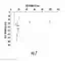 Fig. 08 - NANOCOMPOSITES OF GOLD AND POLYMERS