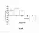 Fig. 16 - NANOCOMPOSITES OF GOLD AND POLYMERS